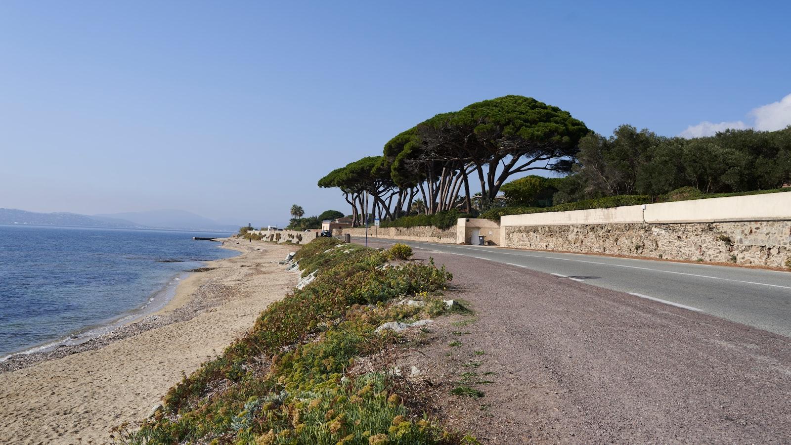 Das mediterrane Grillvergnügen: Eine kulinarische Reise durch die köstlichen Aromen des Mittelmeers